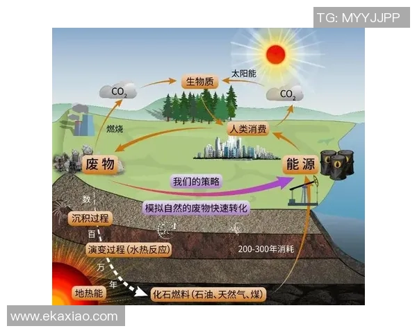 北京极限运动队配合表现的数据分析与团队协作研究 北京极限运动队配合表现的数据分析与团队协作研究