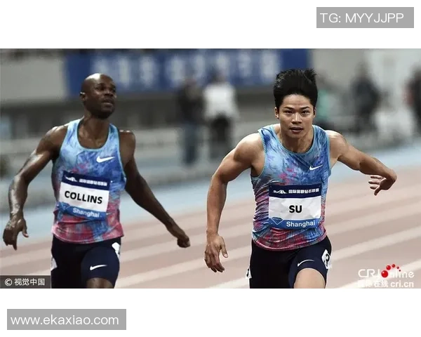 上海乒乓球队在钻石联赛中的辉煌成就与突破之路探秘