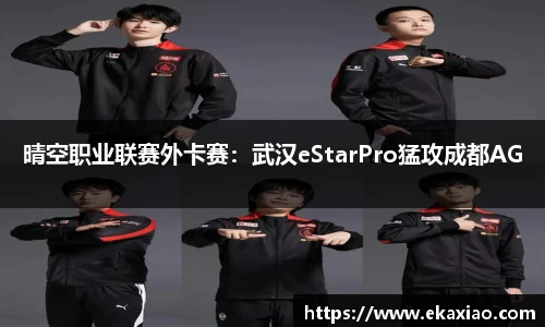 星空.综合体育(中国)官方网站