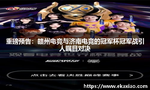 星空.综合体育(中国)官方网站