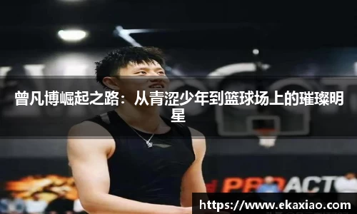 星空综合(中国)官方网站